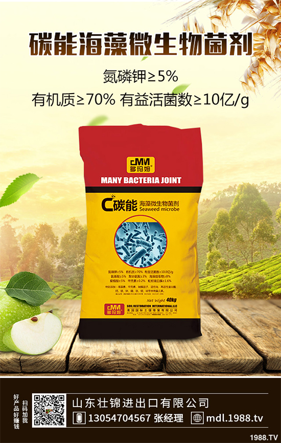 大蔥紫斑病有哪些危害？是如何引起的？大蔥紫斑病的防治措施