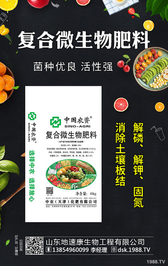     秋芹菜什么時(shí)間定植合適？秋芹菜種植時(shí)間及種植技術(shù)！