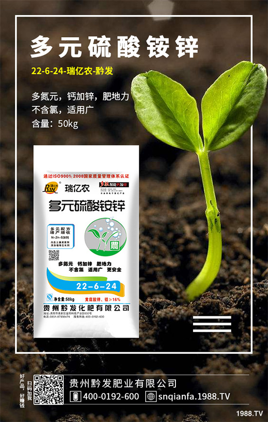 �n��ԓ����������n�����ڹ������g(sh��)Ҫ�c(di��n)