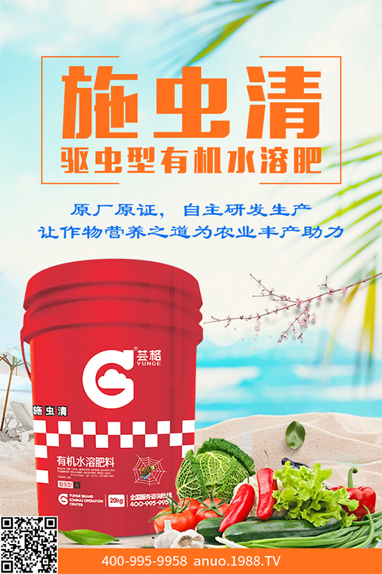 大蔥霜霉病危害巨大,到底是如何引起的?大蔥霜霉病防治措施