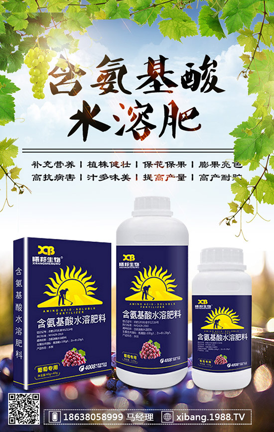 櫻桃蘿卜什么時候種植？櫻桃蘿卜是否需要澆水