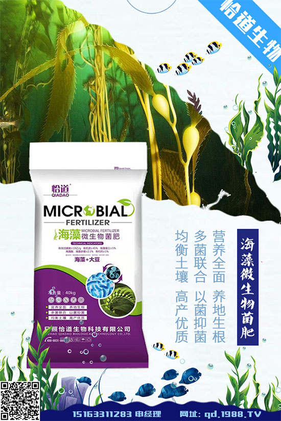 大豆空莢是什么原因造成的？大豆空莢預(yù)防措施！