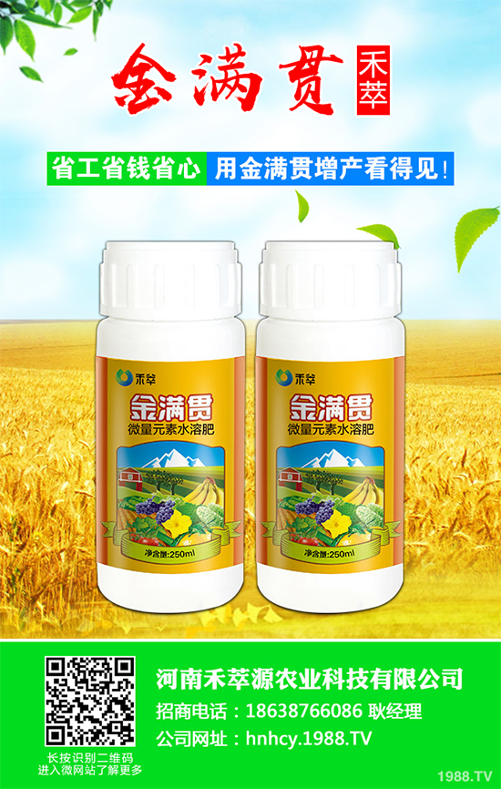 大蔥軟腐病危害這么大，到底該如何防治？大蔥軟腐病的癥狀及防治方法