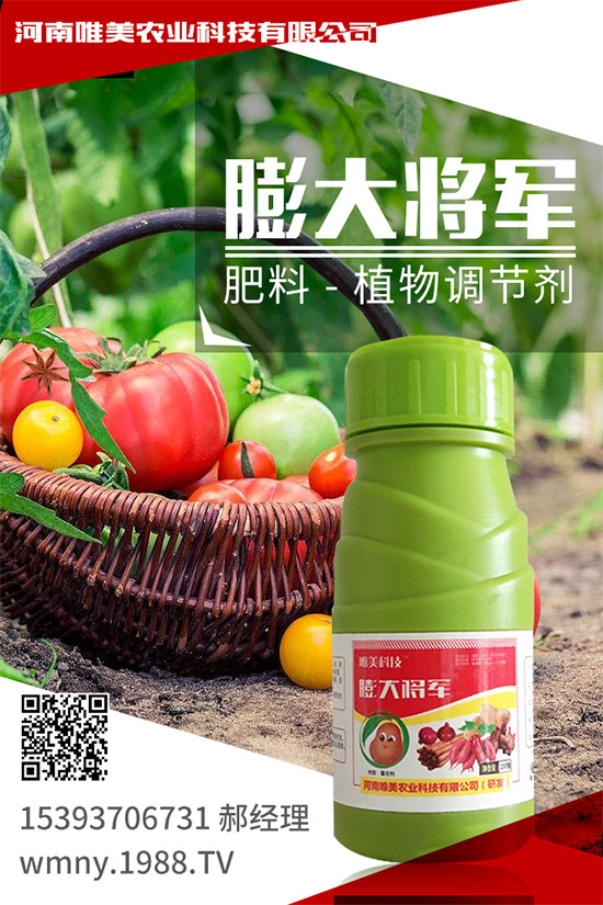 �＾���ҵĹ����(n��i)�����＾�����߲˷Nֲע�����(xi��ng)��