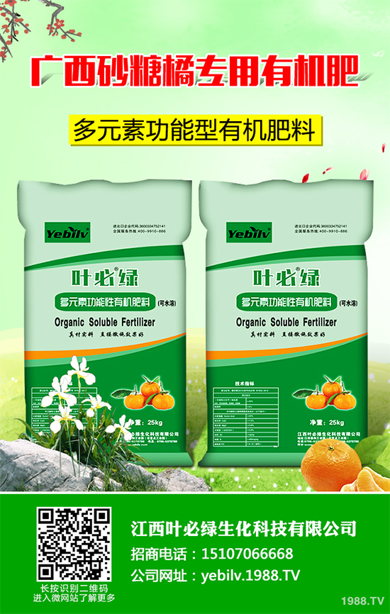     �㶹���ճ������г�Ҋ���߲����I�B(y��ng)�rֵ�S���������˂�ϲ�ۡ����㶹�Nֲ�^�����y������F(xi��n)һЩ���������u�������㶹�P���Ƿǳ���Ҋ��һ�N����������r���ξ͕����º��m�����؜p�a����ô���㶹�P������ЩΣ���Y������ԓ��η�����