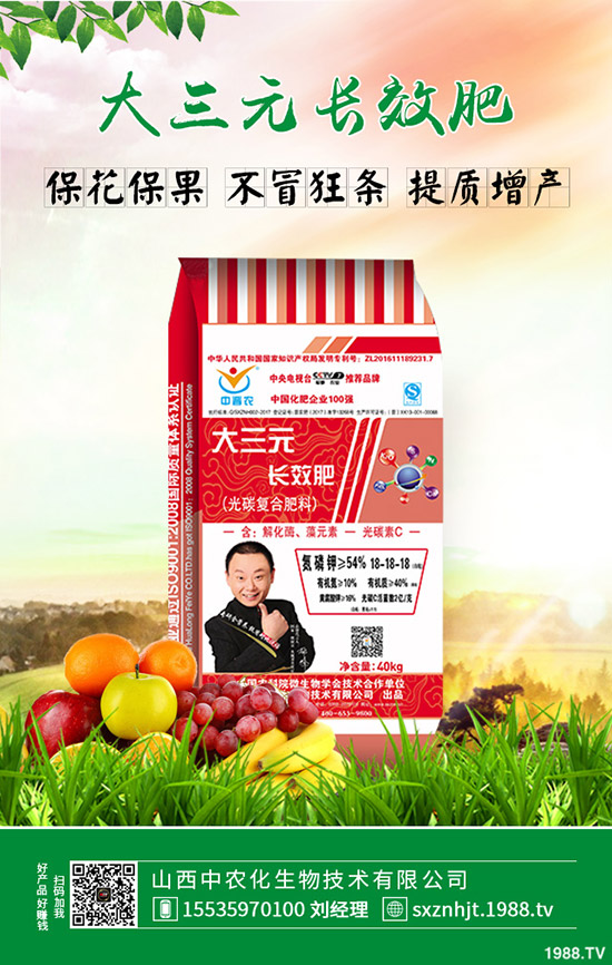     十月份種植適合種植哪些中藥材？種植什么賺錢收益高？