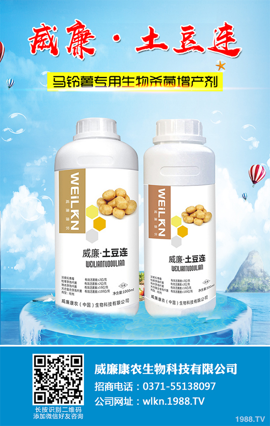 �㶹����������ЩΣ�����F(xi��n)��ԓ���ӷ��Σ��㶹���������η���