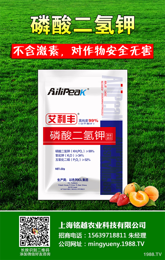 �㶹����������ЩΣ�����F(xi��n)��ԓ���ӷ��Σ��㶹���������η���