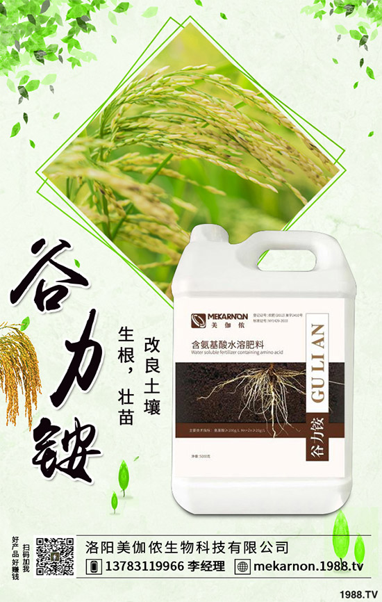 茼蒿該怎么播種?茼蒿高產(chǎn)種植管理方案