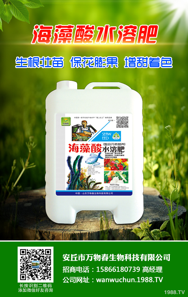 秋播小麥怎么提高質(zhì)量？秋播小麥提高質(zhì)量六要點