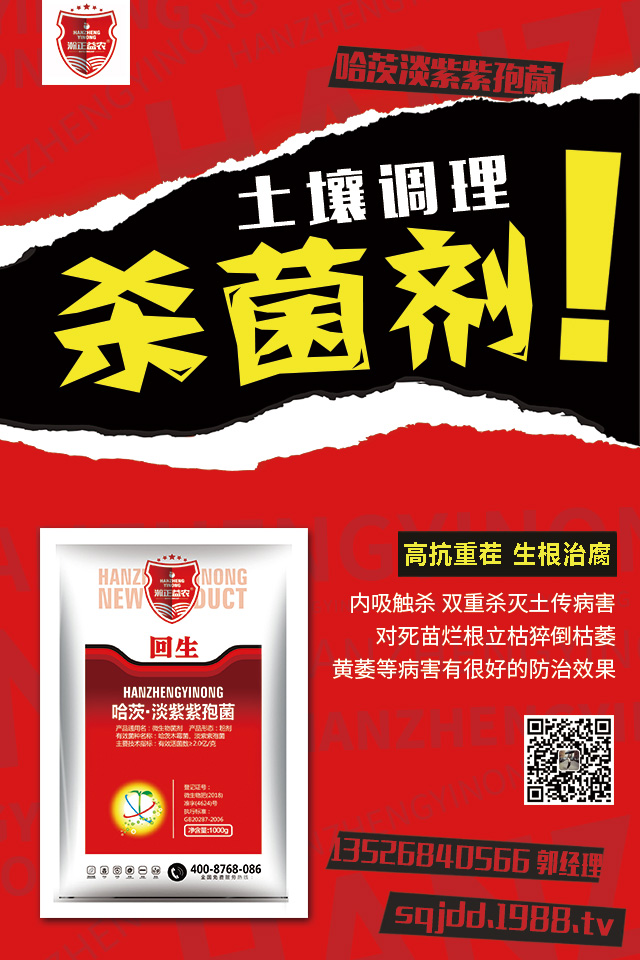 番茄葉片翻卷應(yīng)該怎么預(yù)防?番茄葉片翻卷預(yù)防措施