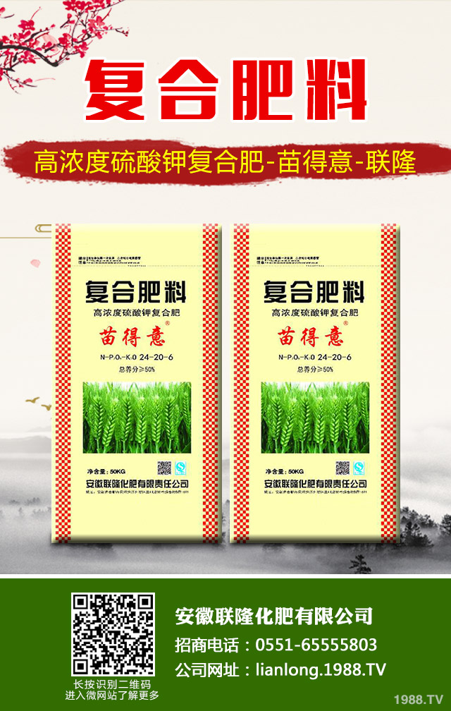 蘇鐵葉黃枯問題怎么解決？蘇鐵葉黃枯解決方法