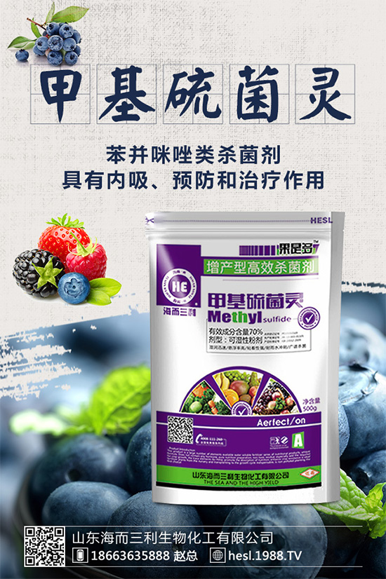 �����Ѿ���