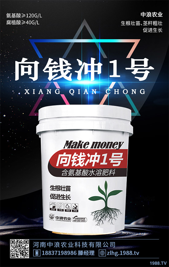 露地卷心菜什么時(shí)候種植？露地卷心菜種植技術(shù)大全