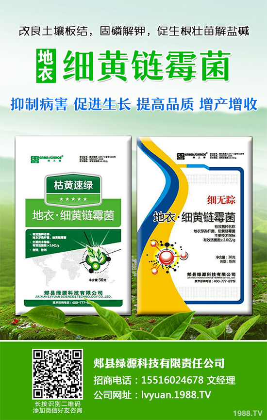 ���·Nʲô�߲˱��^����2019��9���߲˷Nֲָ��