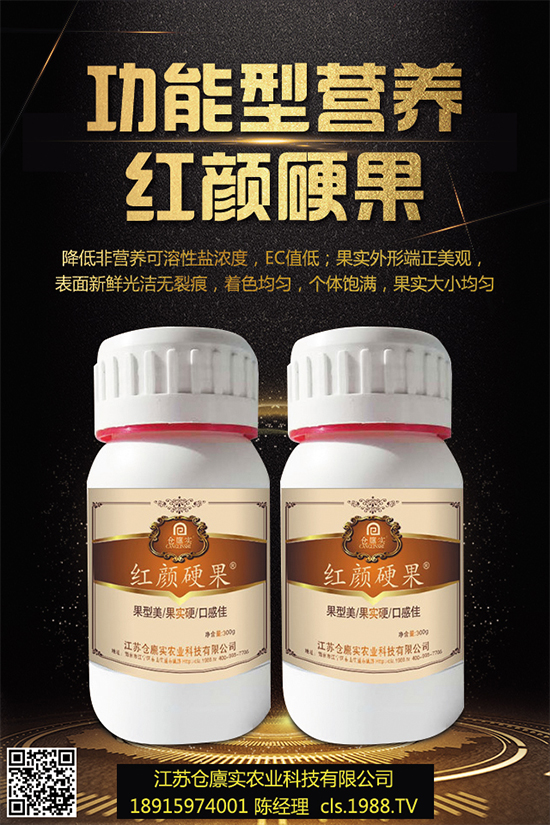 西蘭花什么時(shí)候種植?該怎么種?2019年西蘭花種植前景分析