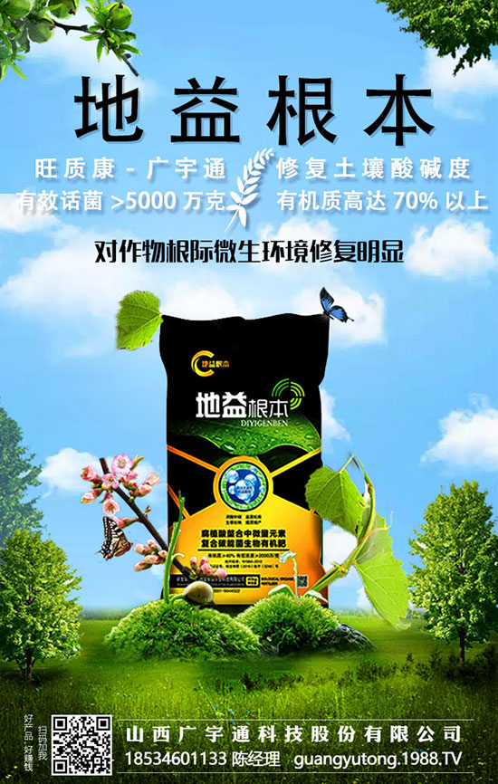 上海青的6大種植方法,增產(chǎn)增收不再愁