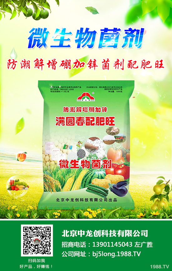 柑橘什么時候種植更好?柑橘的栽培要點有哪些?