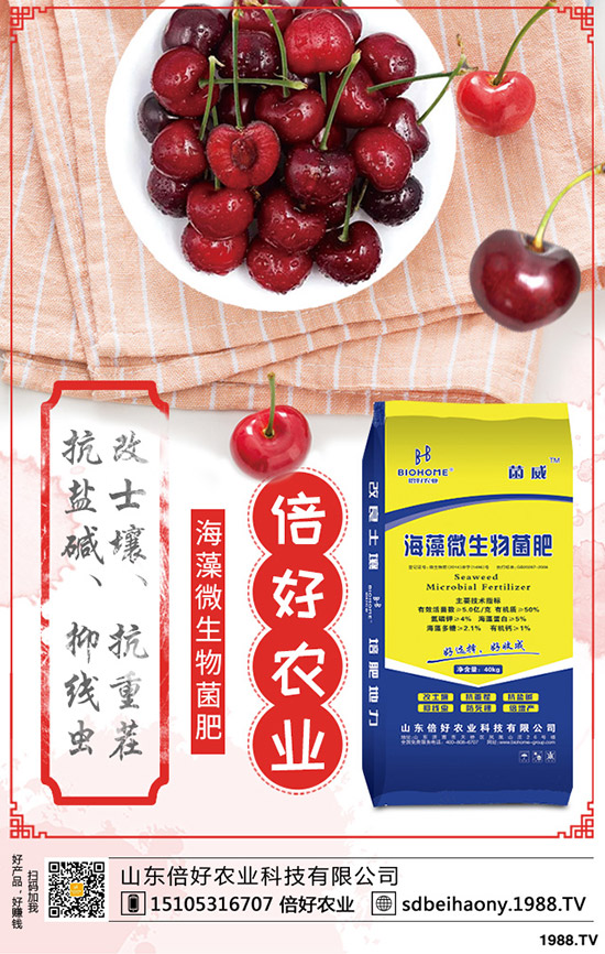     尿素行情走勢一般！2020年1月中旬尿素行價格后市預測！