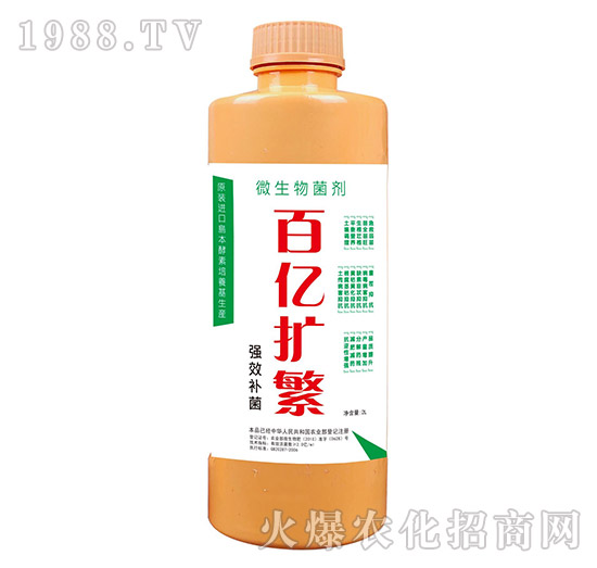 ���A�I�����ףȫ����(j��ng)�N�����w���������꼪���������d����