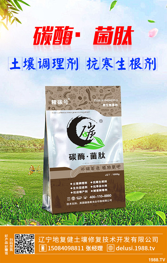     芹菜斑枯病有哪些危害癥狀？芹菜斑枯病的危害及防治