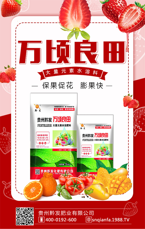 【貴州黔發(fā)肥業(yè)】祝廣大朋友們鼠年快樂(lè),幸福吉祥!