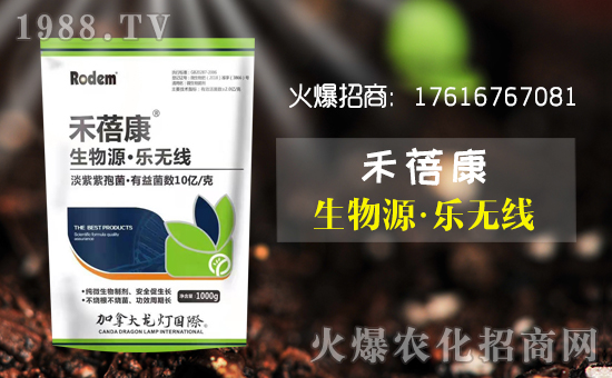 ���۹�������ףȫ����������옷������������w������ؔԴ�V�M��