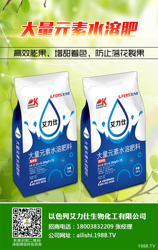 芹菜根腐病是如何發(fā)生的？該怎樣防治？快來(lái)看看吧！