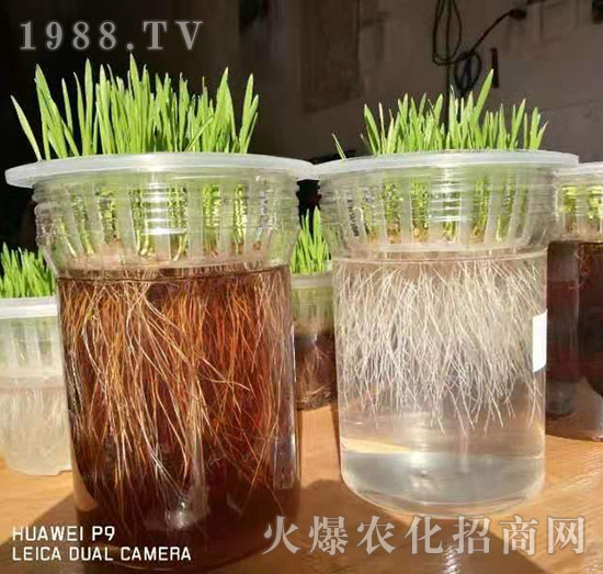 【新疆黑色生態(tài)】全體員工恭祝新老朋友:新年快樂!萬事如意!夜夜“鼠”錢!