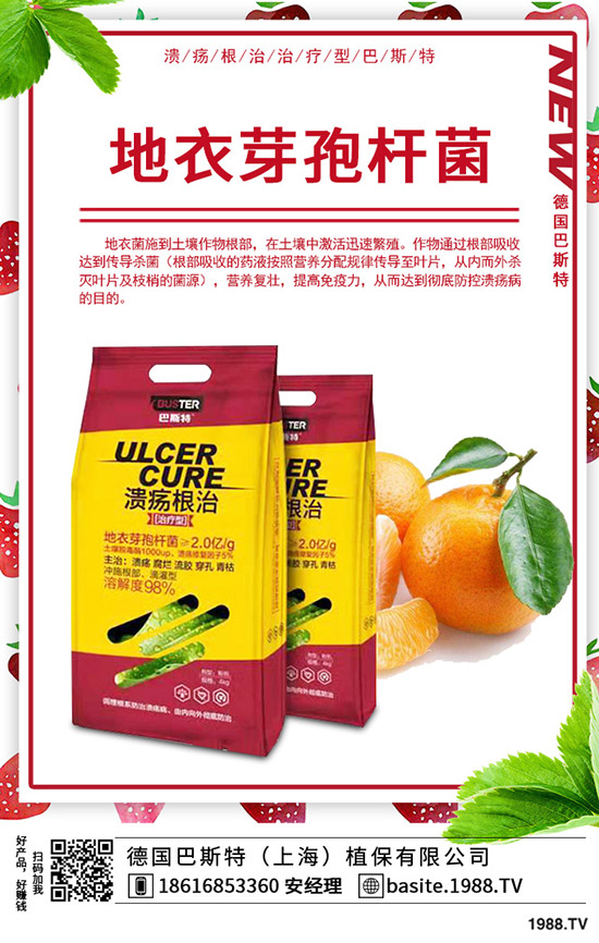 �ֲ��؅^(q��)���������»���2020-1-17����(n��i)���؃r���߄ݼ��������u��