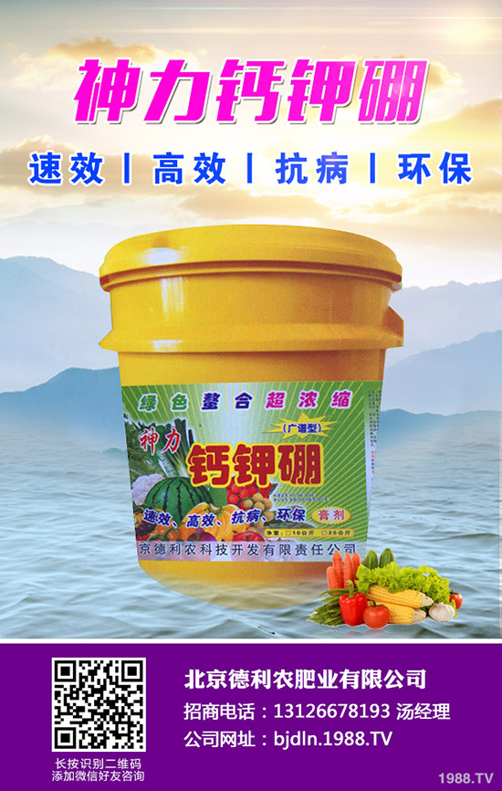 2020年春節(jié)前鉀肥價(jià)格上漲有限!2020-1-17日鉀肥行情走勢分析!