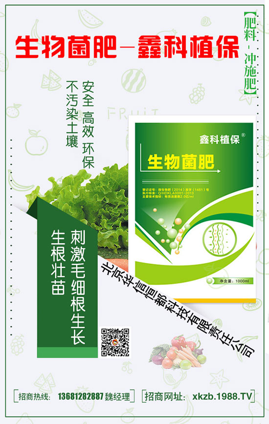 君子蘭的科學(xué)種植技巧,讓自己的花朵更艷麗!