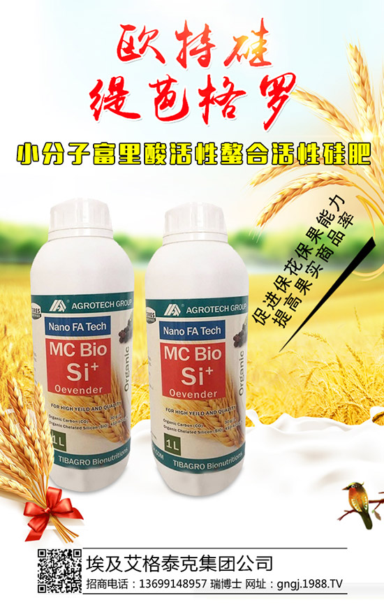 ���������Y(ji��)��������ô�������������������������