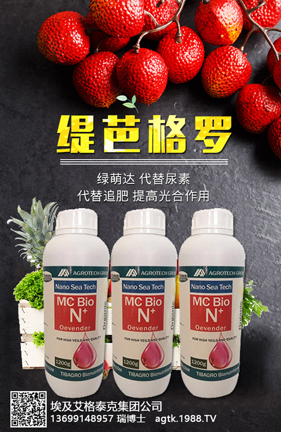 ���A�ĠI�B(y��ng)�rֵ����Щ����Ч�c��������Щ��������Щ��Ⱥʳ����