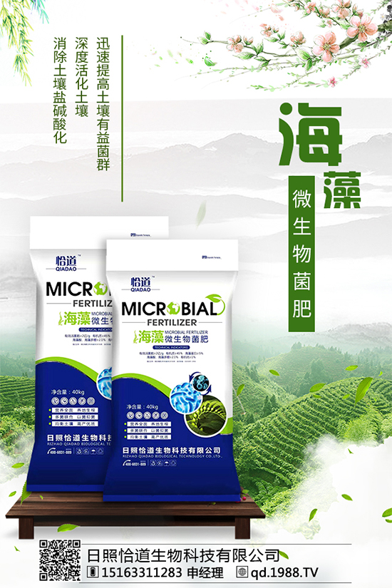     松茸有哪些營養(yǎng)價(jià)值？吃松茸有什么好處？