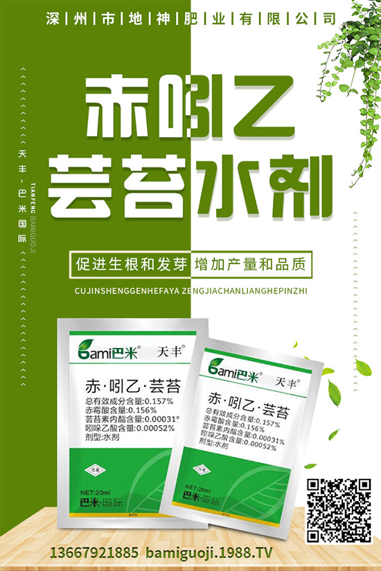 紅薯的營養(yǎng)價值有哪些，紅薯的功效作用與使用禁忌！