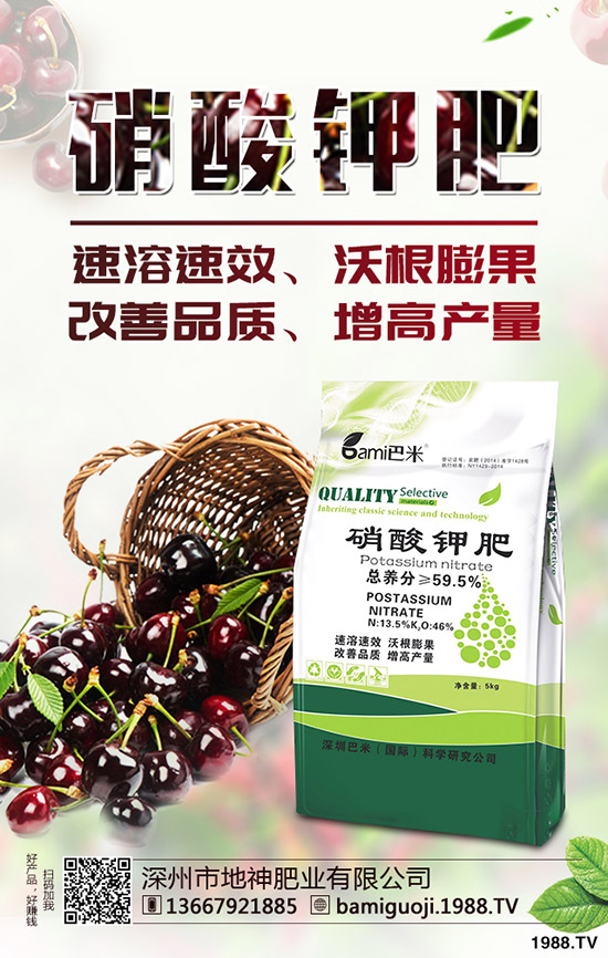 �t������r(sh��)�g��ʲô�r(sh��)�����t�����緽������Щ��