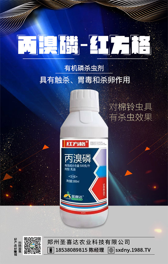 ��ʥϲ�_(d��)�r(n��ng)�I(y��)��ף���2020��������\�������ո�������