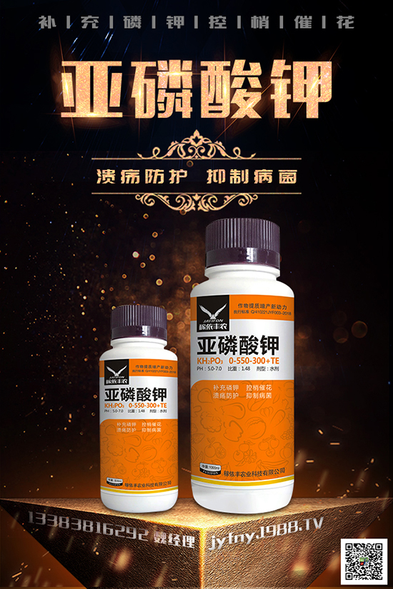 2020種黑番茄賺錢嗎？黑番茄的種植方法有哪些？