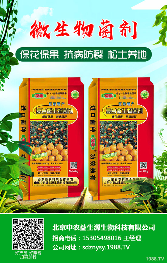 盆栽小香蔥如何種植?盆栽小香蔥種植時(shí)間及種植方法!