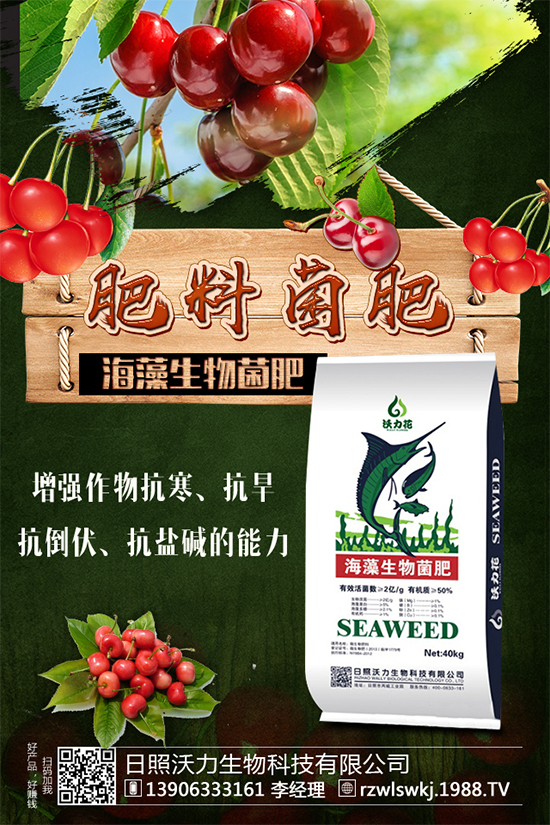 芒果種植需要哪些條件？芒果種子剝殼催芽技術(shù)！