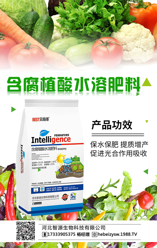 花菜科學(xué)種植方法與合理的田間管理大家了解嗎？