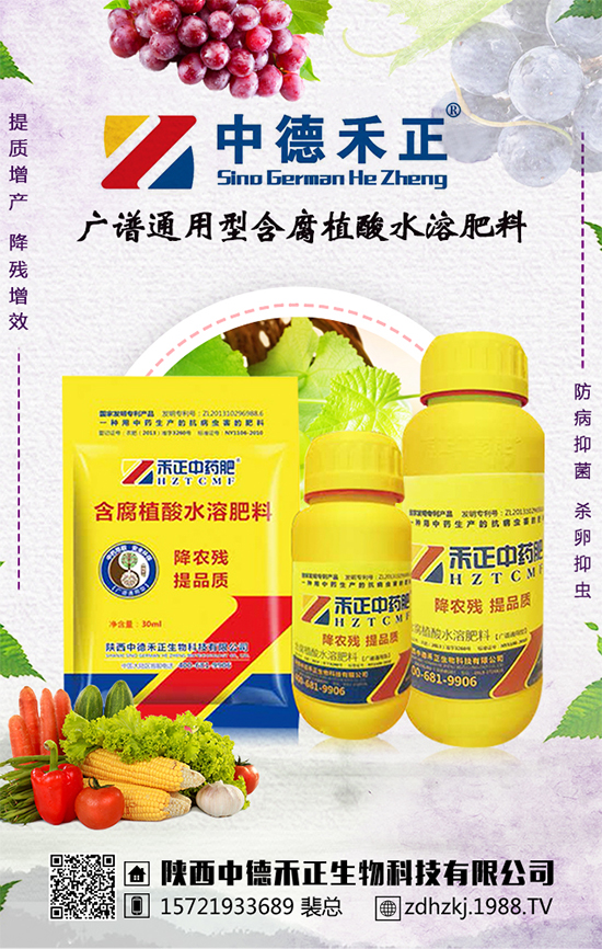 ���еº�����ף�V��(j��ng)�N��2020���I(y��)�v�w����������������