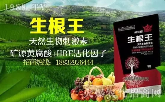 С���q�r(ji��)����(g��)�e��(b��o)�r(ji��)���^(gu��)2500Ԫ/����