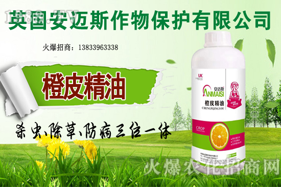 10�·Nֲ��Щ�߲˸����m�����g����Ҫ���c(di��n)ץ���Ď��c(di��n)��