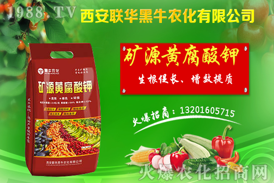 �＾����(sh��)ԓ��ι������＾����(sh��)���푪(y��ng)������Ĵ��`�^(q��)��