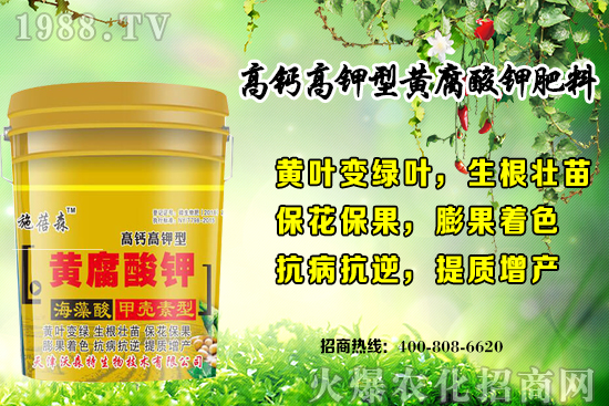 ��ݮ���L���h(hu��n)��Ҫ������Щ���＾��ݮ��ֲע����헺͹�����ʽ��