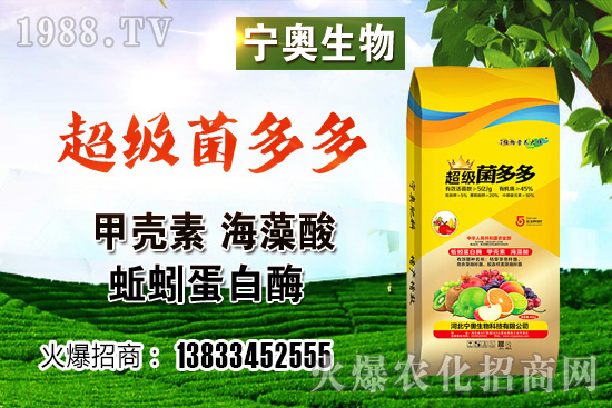 ��ɫ��Ҭ�˶����Xһ������ɫ��Ҭ�˷NֲЧ����������ӷNֲ��