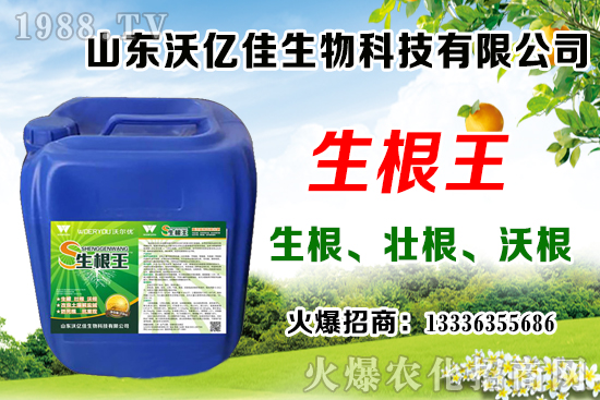 Ӱ푲�ݮ��ѿ�ֻ���������Щ����ݮ��ѿ�ֻ����c��ֲ����Ҫ�c(di��n)��