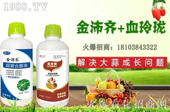     �ļ�ʯ�����L��(x��)������Щ���ļ�ʯ����ֲ���g(sh��)�������ڹ�����